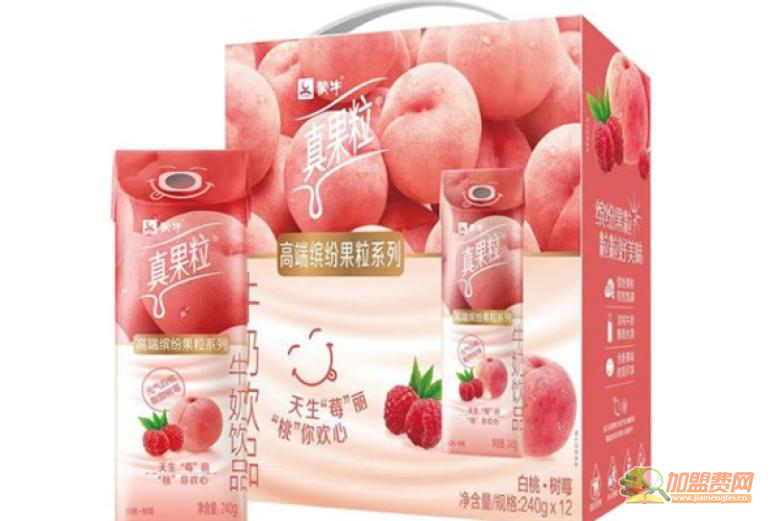 真果粒牛奶饮品加盟 真果粒牛奶饮品加盟