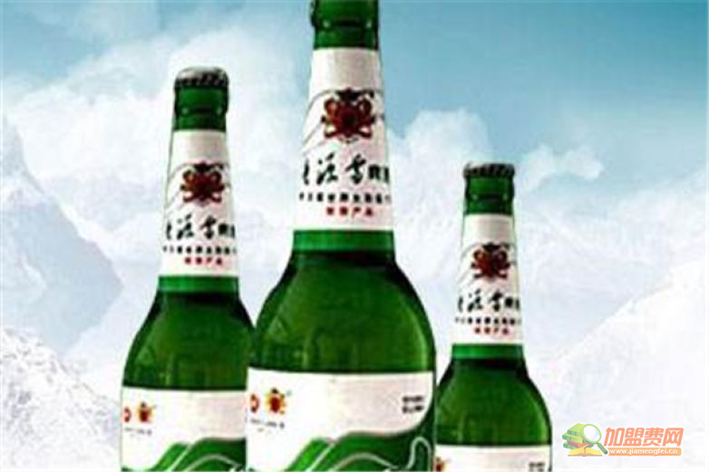青源雪啤酒加盟 青源雪啤酒加盟