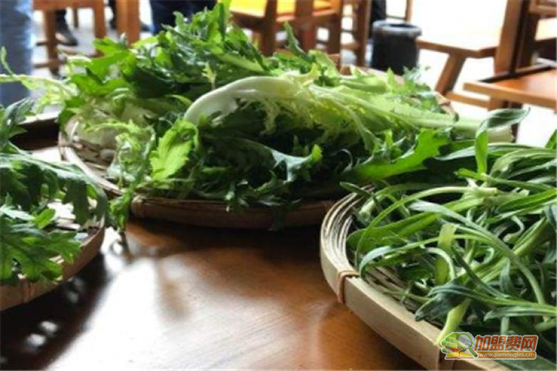 春耕野菜馆加盟 春耕野菜馆加盟
