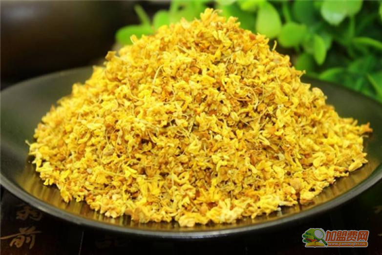 干桂花加盟 干桂花加盟