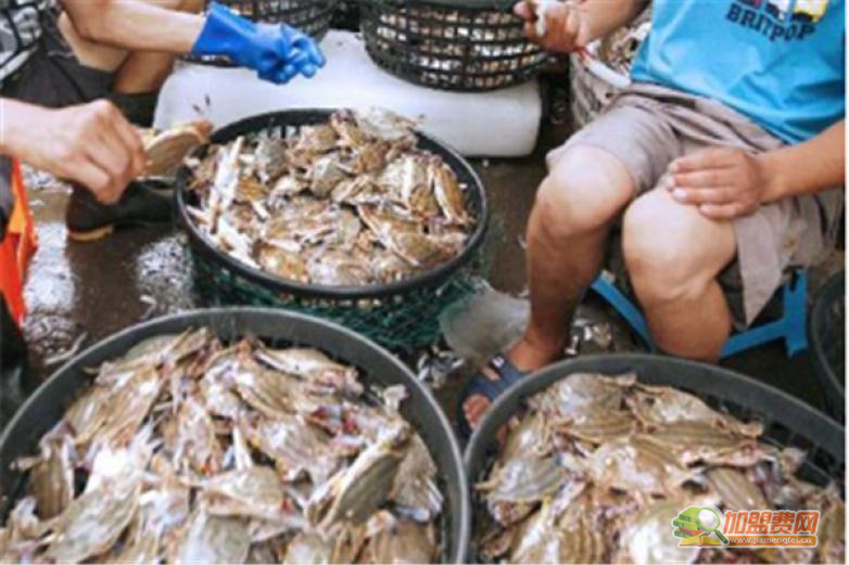 渔民海鲜加盟 渔民海鲜加盟