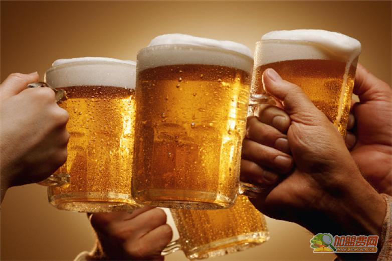 洛克啤酒加盟 洛克啤酒加盟