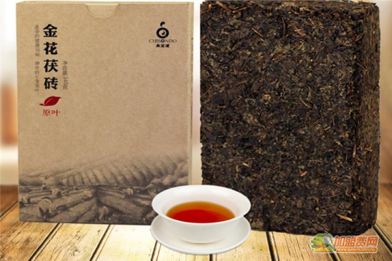 泉笙道黑茶加盟 泉笙道黑茶加盟