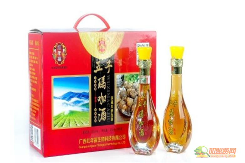 五子玛咖酒加盟 五子玛咖酒加盟