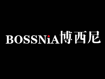 博西尼橱柜加盟