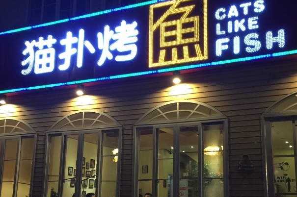 猫扑烤鱼加盟门店