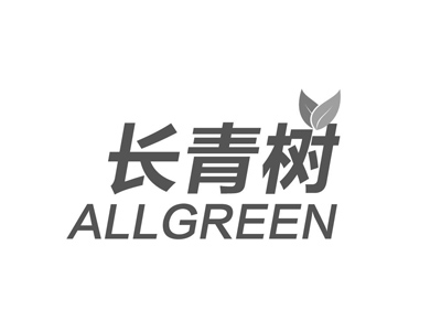 长青树加盟