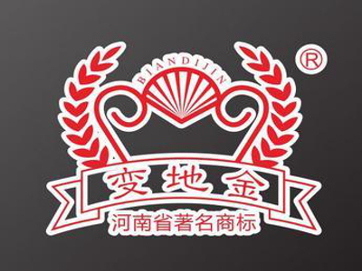 变地金加盟