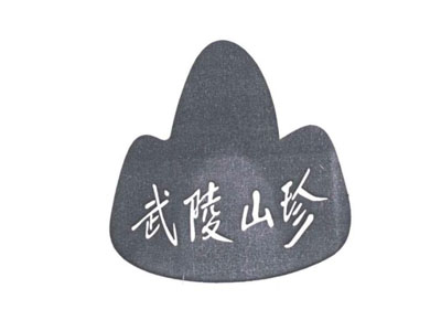 武陵山珍加盟