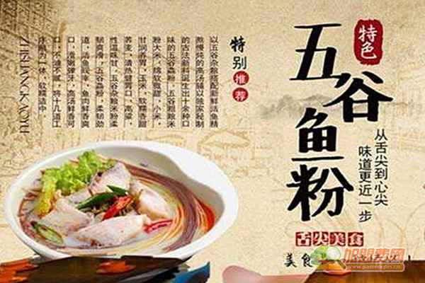 五谷鱼粉加盟