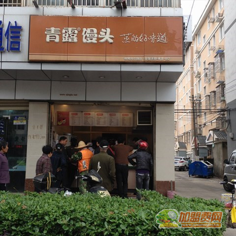 青露加盟