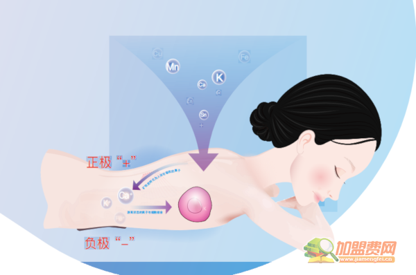 著手健康加盟
