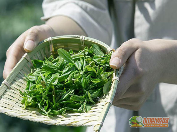加减茶饮加盟