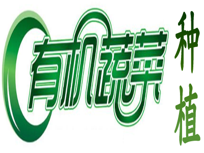 有机蔬菜种植加盟