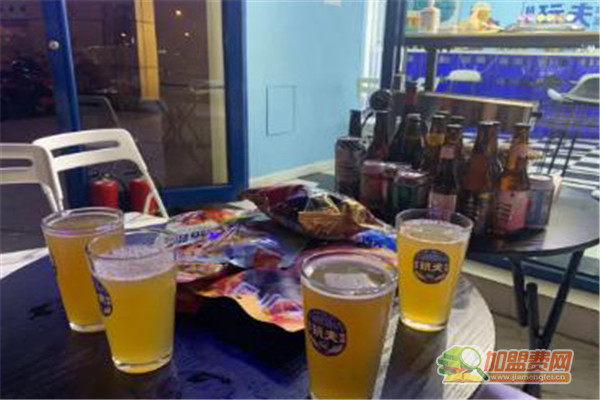 玩夫精酿啤酒加盟费