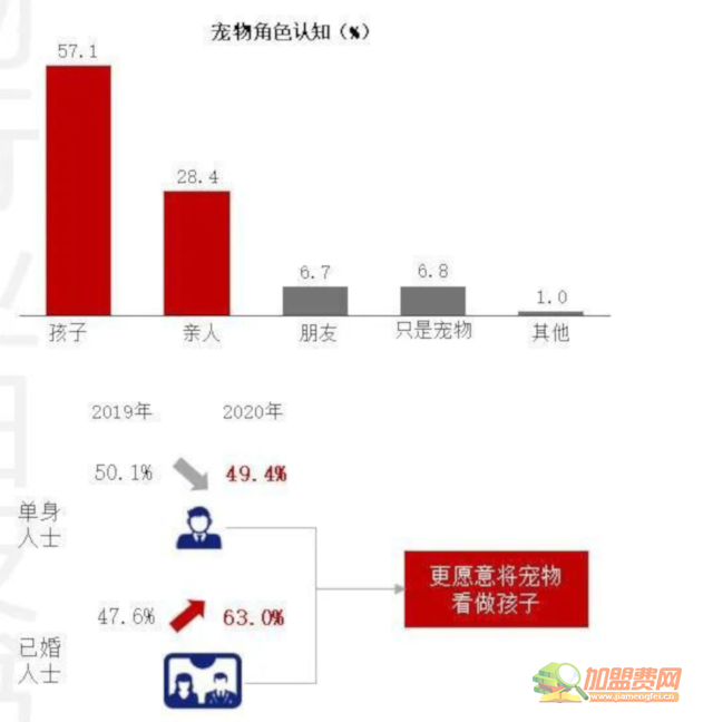 宠物殡仪馆加盟