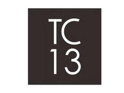 tc13淘女鞋加盟