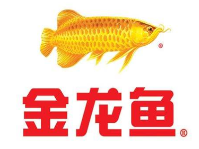 金龙鱼招商加盟