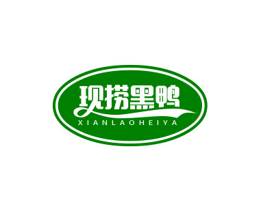现捞黑鸭加盟