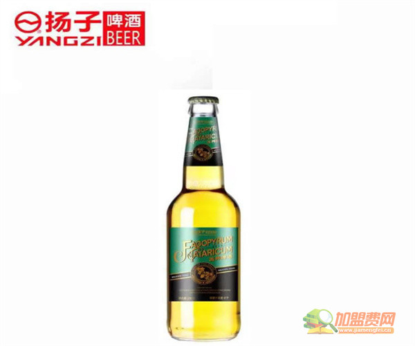 扬子啤酒加盟