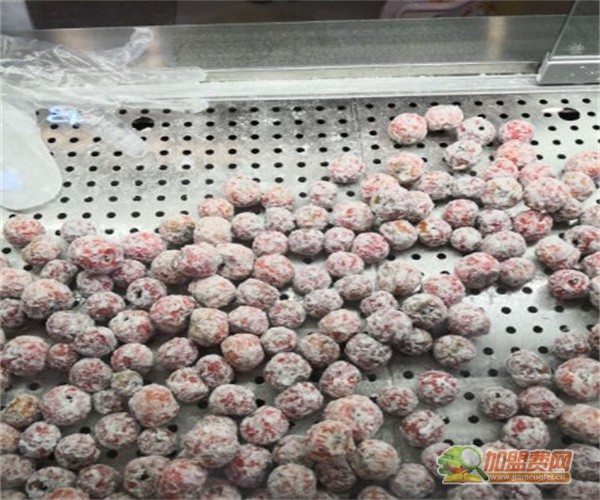 糖福禄糖葫芦加盟