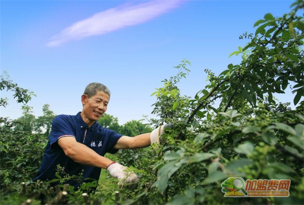 德庄火锅加盟费