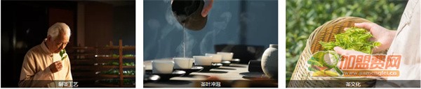 八马茶业加盟