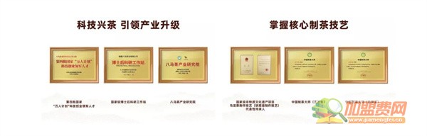 八马茶业加盟费