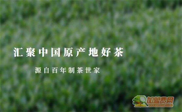 八马茶业加盟
