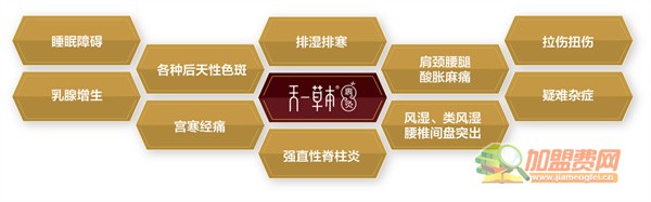 天一草本裹灸加盟