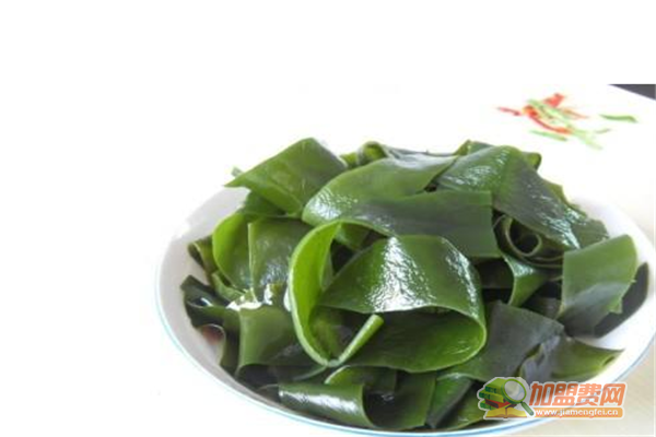 荣成海带加盟怎么样 荣成海带加盟费有哪些