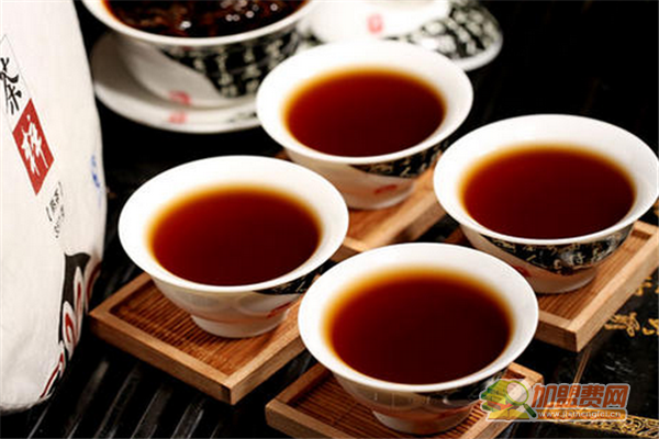 古树普洱加盟费 古树普洱加盟费有哪些