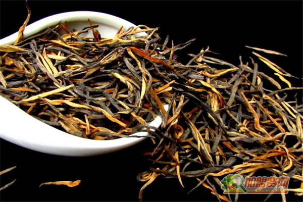 凤庆滇红茶加盟费 凤庆滇红茶加盟费有哪些