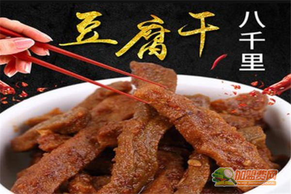 八千里加盟 八千里加盟