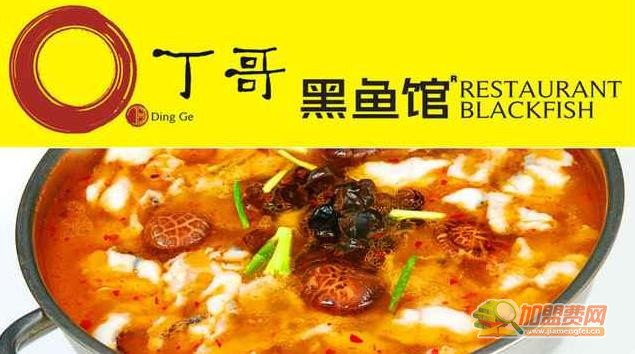 丁哥黑鱼馆加盟 丁哥黑鱼馆加盟