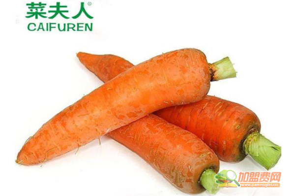 菜夫人