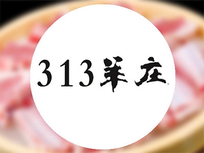 313羊庄加盟