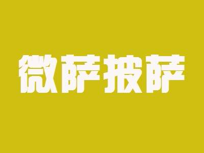 微萨披萨加盟