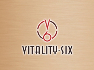 v6银饰加盟
