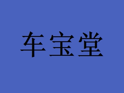 车宝堂加盟