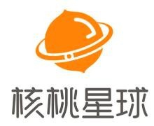 核桃星球编程加盟