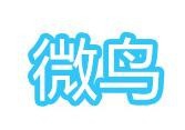 微鸟少儿英语加盟