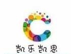 凯乐凯思国际艺术中心加盟