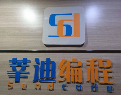 莘迪少儿编程加盟