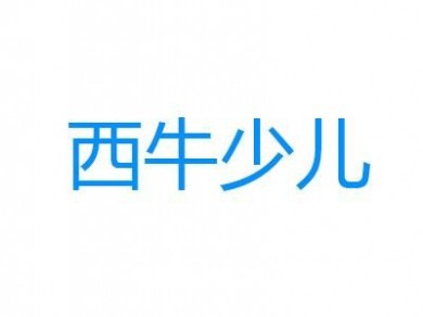 西牛少儿编程加盟