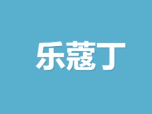 乐蔻丁幼儿编程加盟