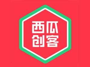 西瓜创客少儿编程加盟