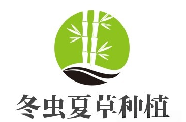 冬虫夏草种植加盟费