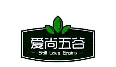 爱尚五谷加盟